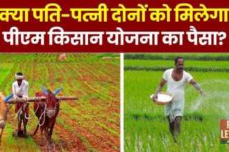 PM  Kisan Yojana