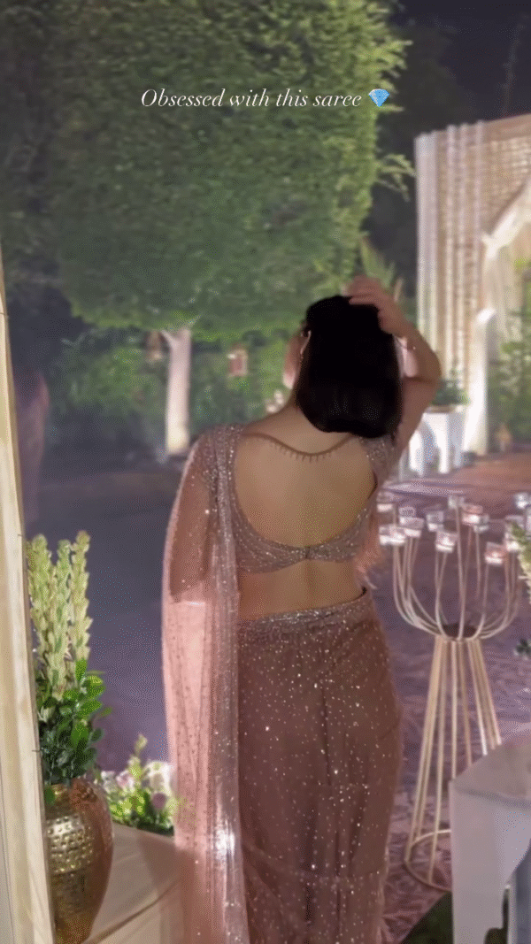Sheer Elegance: Shimmering Peach Net Saree for Evening Glamour - Image 8