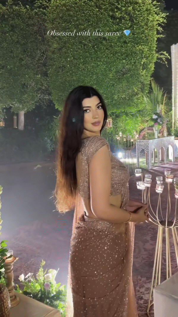 Sheer Elegance: Shimmering Peach Net Saree for Evening Glamour - Image 6