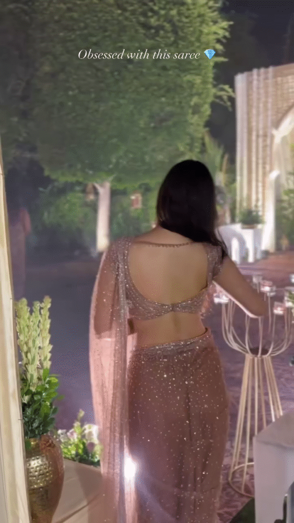 Sheer Elegance: Shimmering Peach Net Saree for Evening Glamour - Image 4