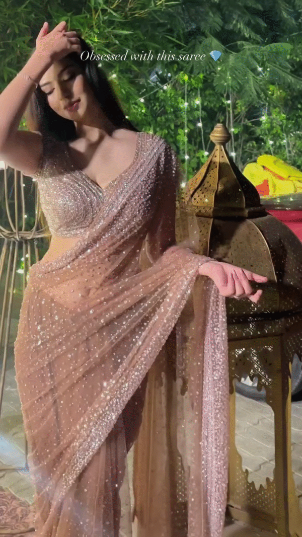 Sheer Elegance: Shimmering Peach Net Saree for Evening Glamour - Image 5