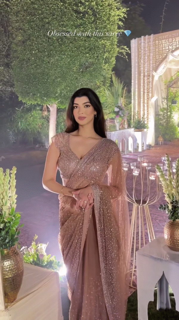 Sheer Elegance: Shimmering Peach Net Saree for Evening Glamour - Image 14