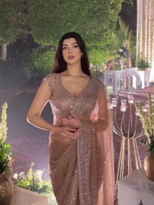 Sheer Elegance: Shimmering Peach Net Saree for Evening Glamour