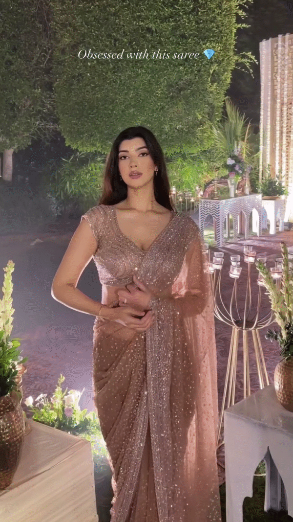 Sheer Elegance: Shimmering Peach Net Saree for Evening Glamour