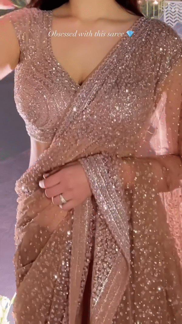 Sheer Elegance: Shimmering Peach Net Saree for Evening Glamour - Image 10